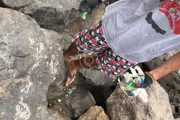 Limpieza de la escollera sur del muelle de Taliarte (Foto Pedro Martel/Wendy Cruz)